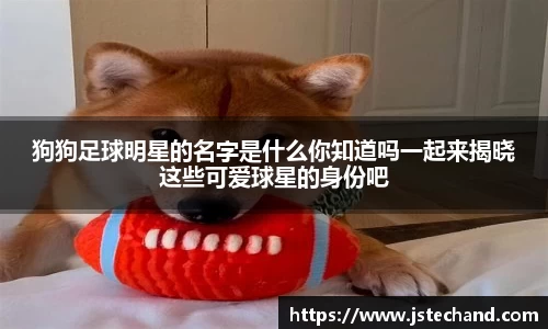 狗狗足球明星的名字是什么你知道吗一起来揭晓这些可爱球星的身份吧